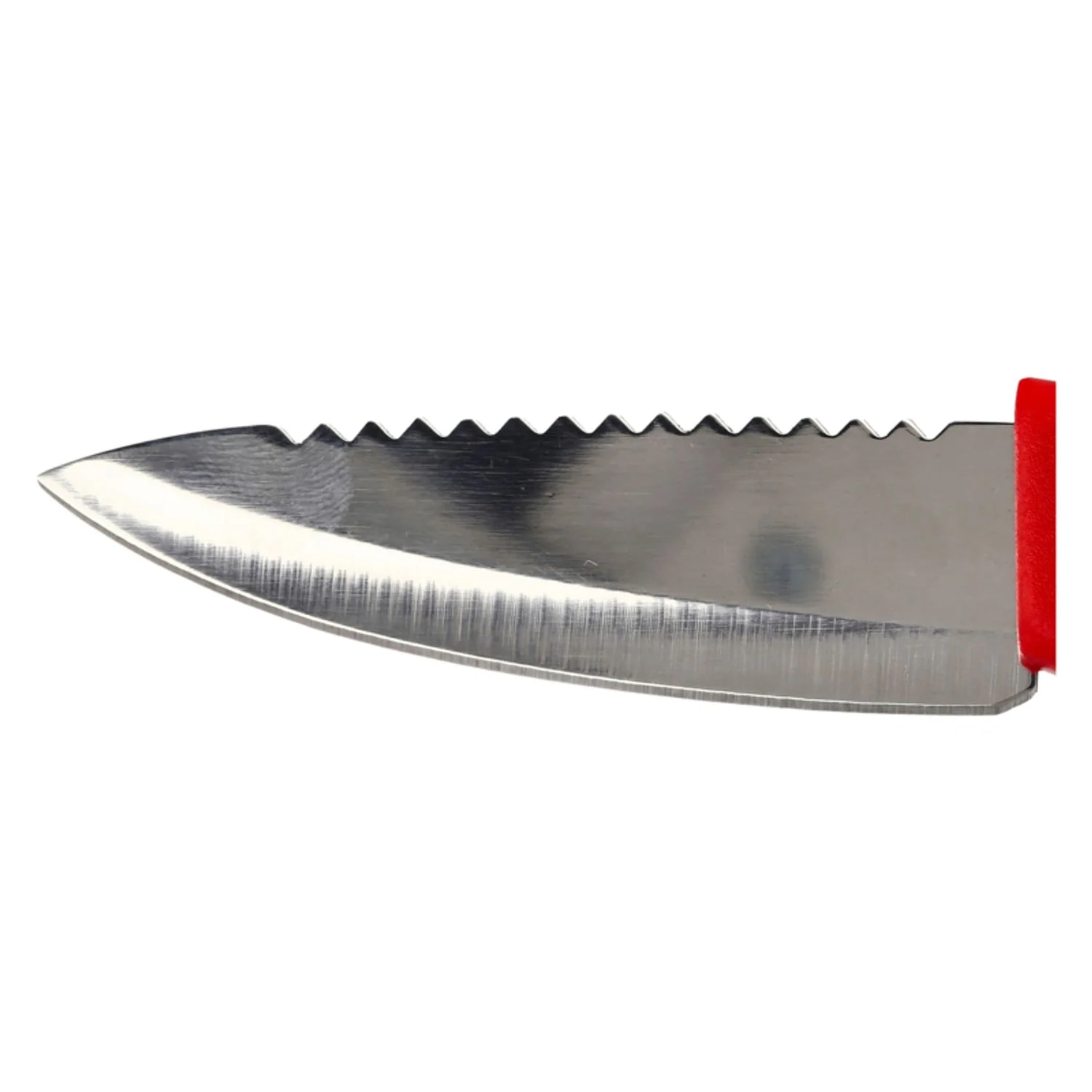 Eagle Claw Bait Knife, 3-3/8" Blade - Image 2