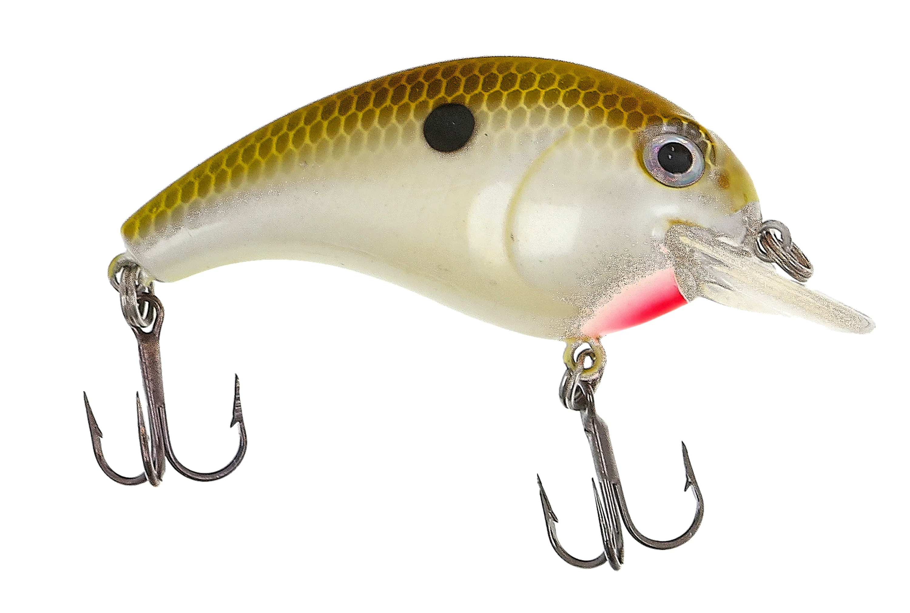 Eagle Claw Family Fishing Kit with Two 5'6" Spinning Combos - Image 9