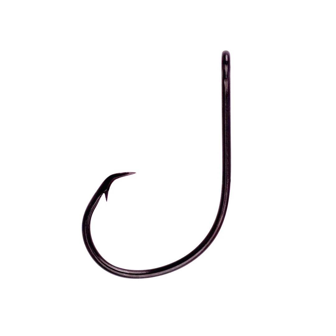 Lazer Sharp Non-Offset Circle Sea Platinum Black Hook